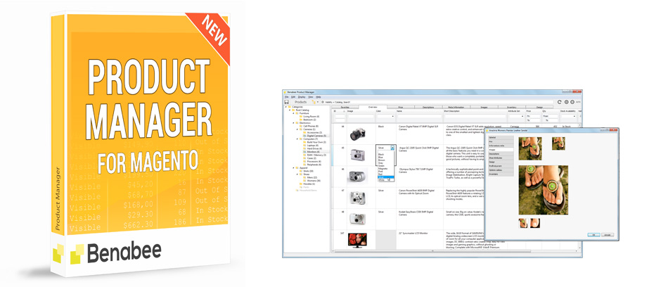 Click for more information